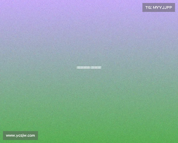 各项赛事单赛季不败 季后赛不败夺冠