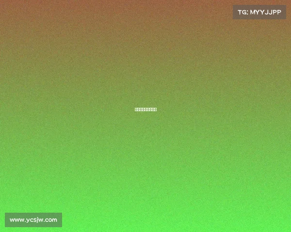 沈阳青少年篮球比赛